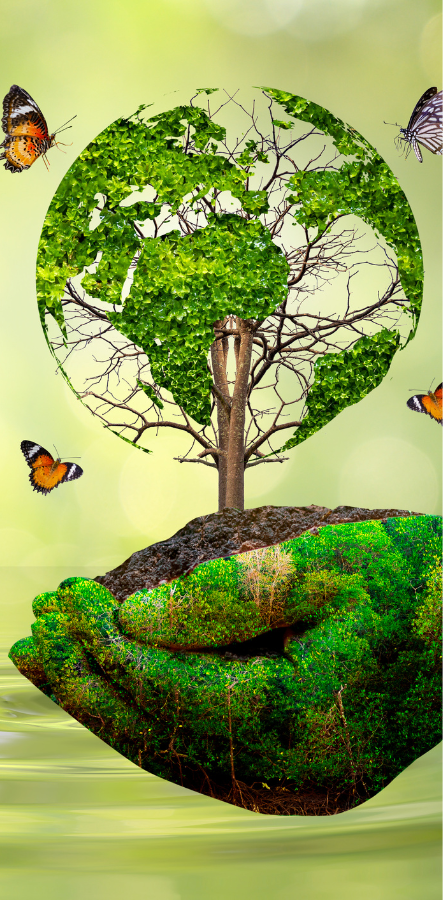 Find Your Legal
"<span>Expert</span>" .....